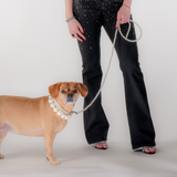 POOCH Leash
